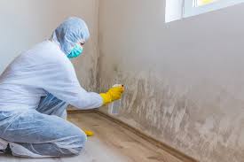 Best Mold Remediation for Vacation Homes  in Lamar, CO